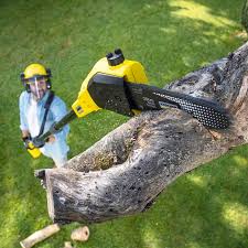 Best Leaf Removal  in Burnettown, SC